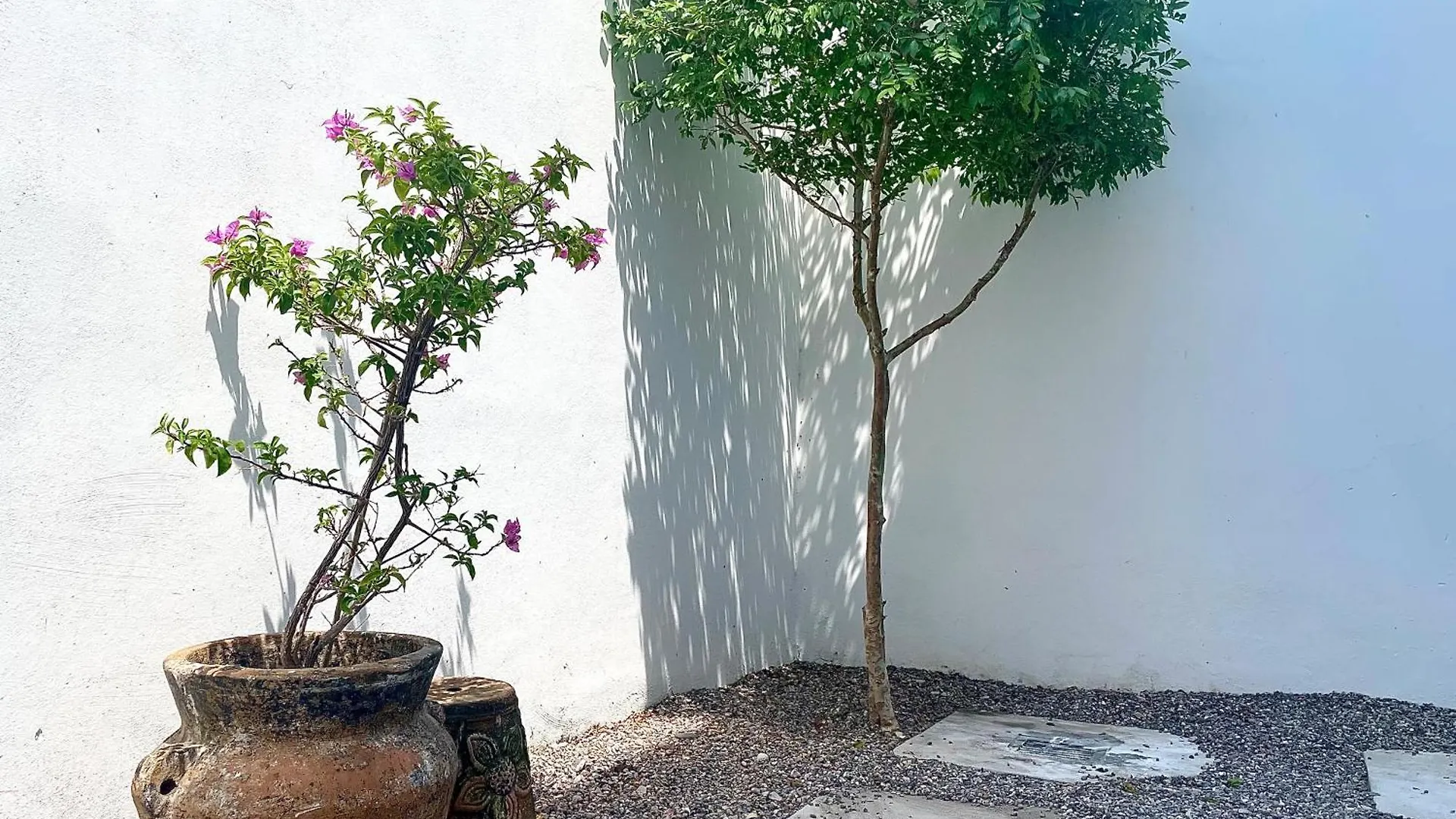 Villa Departamentos Dos21 à Mazatlán 0*,  Mexique